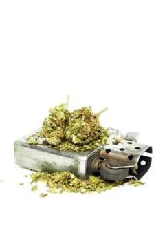 Marijuana Stock Photos