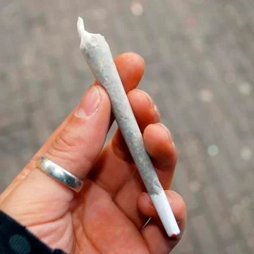 Marijuana Foto stock