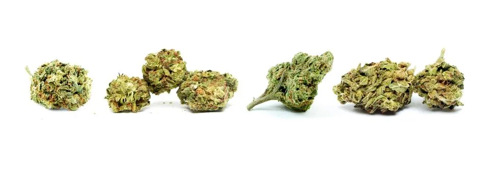 Marijuana Stock Photos