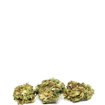 Marijuana Stock Photos