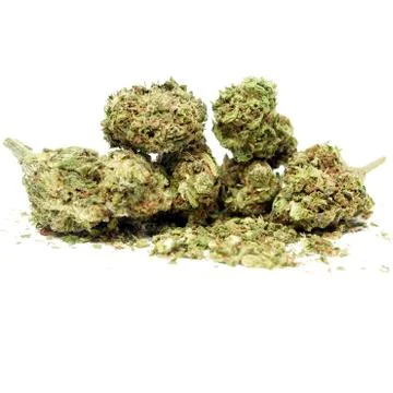 Marijuana Stock Photos