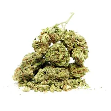 Marijuana Stock-Fotos