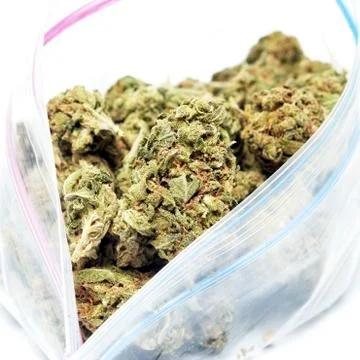 Marijuana Stock Photos