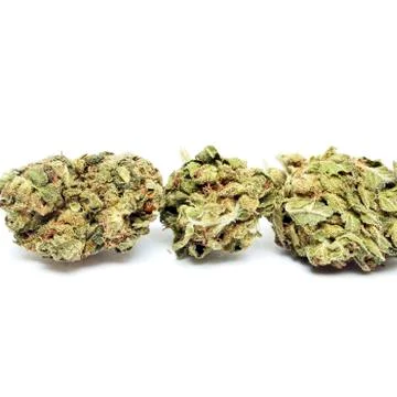 Marijuana Stock Photos