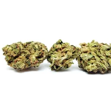 Marijuana Stock Photos