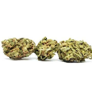 Marijuana Stock Photos