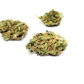 Marijuana Stock Photos