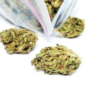 Marijuana Stock Photos