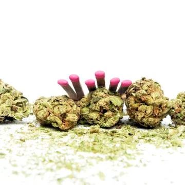 Marijuana Stock Photos