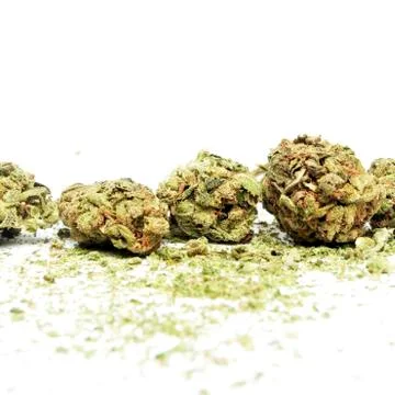 Marijuana Stock Photos