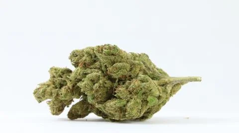 Marijuana Stock Photos