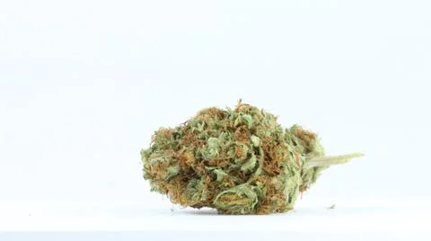 Marijuana Stock Photos