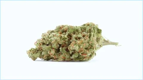 Marijuana Stock Photos