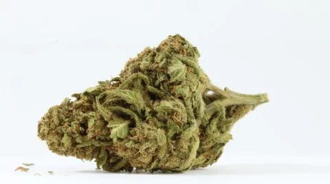 Marijuana Stock Photos