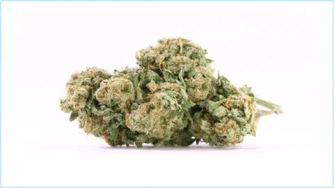 Marijuana Stock Photos