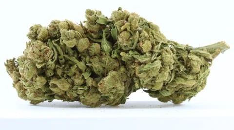 Marijuana Stock Photos