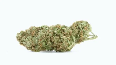 Marijuana Stock Photos