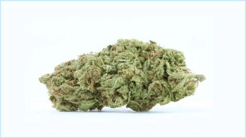 Marijuana Stock Photos