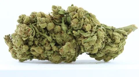 Marijuana Stock Photos