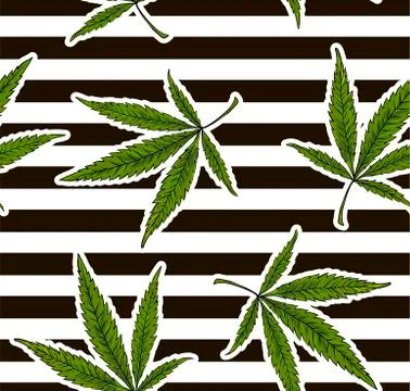 Marijuana Plant - seamless pattern on white and black seamless background Stock Illustration