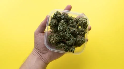 Marijuana in a plastic container on the yellow background 스톡 사진