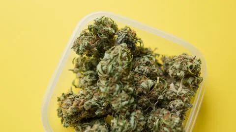 Marijuana in a plastic container on the yellow background Stock Photos