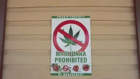 Marijuana Prohibited sign Video stock 231619421