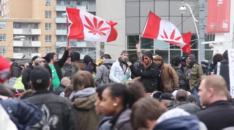 Marijuana Protest Toronto 2011 - 4 Stock Footage
