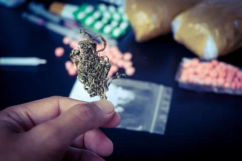 Marijuana is a psychoactive substance, it may cause effects on the body Stock Photos