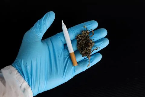 Marijuana is a psychoactive substance, it may cause effects on the body Stockfoto's