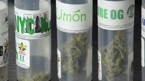 Marijuana Strains HD Stock Footage 8993074