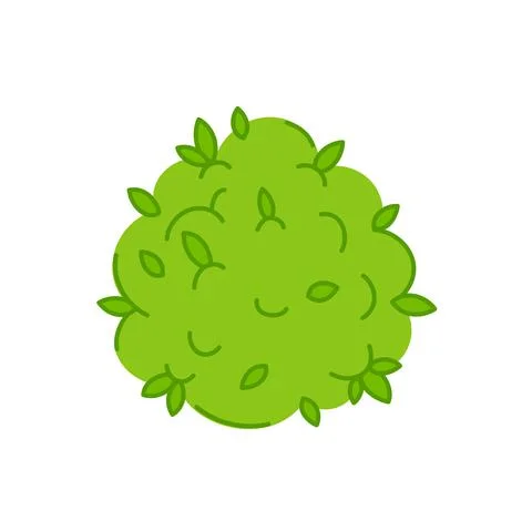 Marijuana weed bud. Vector trendty flat line illustration icon. Isolated on Stock Illustration