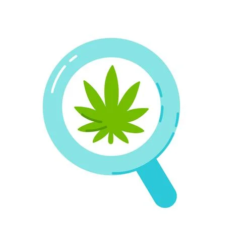 Marijuana weed leaf in magnifying glass. Vector trendty flat line illustration Stock Illustration