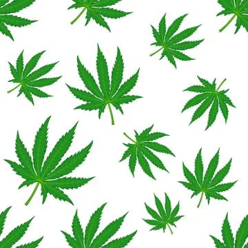 Marijuana on white background seamless pattern. Vector illustration. Stock Illustration