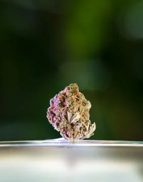 Marijuanacloseup Stock Photos