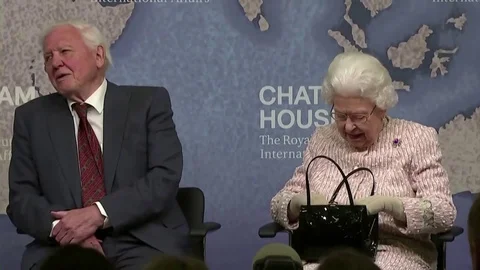 Anna Collini Stock Video Footage | Royalty Free Anna Collini Videos | Pond5