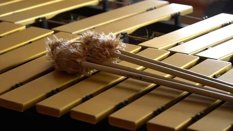 Marimba Stock Footage 115326300