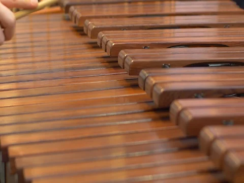 Marimba Players Close Up Stock Footage 74842477