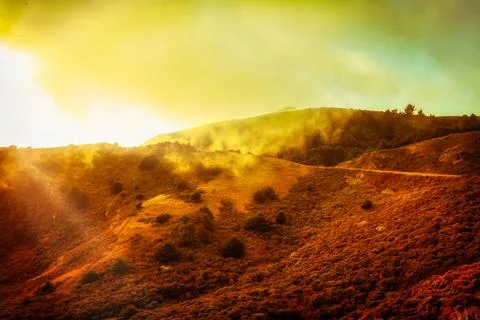 Marin Stock Photos