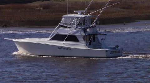 Marina 13 Stock Footage 26855514