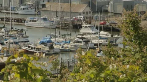 Marina-8 Stock Footage 11137967