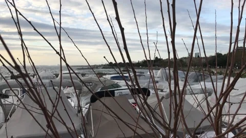 Marina and dried trees in winter Video stock 145899480