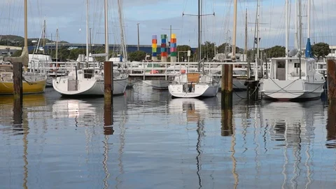 Marina and wind sculpture Stock Footage 113831204