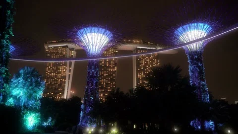 Marina Bay Sands Hotel and the OCBC Skyway in Supertree Grove Singapore Stock Footage 114228853