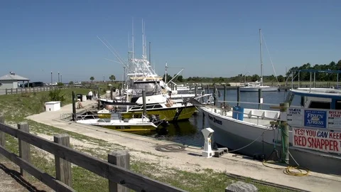 Marina Boats Stock Footage 93099668