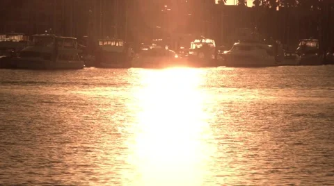 Marina Crew Close Up Stock Footage 944494