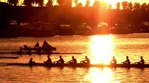 Marina Crew Row.mp4 Stock Footage 944350
