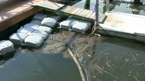 Marina debris in water Stock Footage