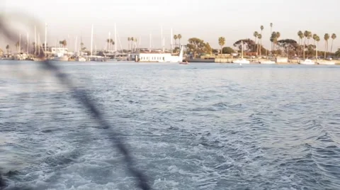 Marina Del Rey harbor 스톡 동영상 50194595