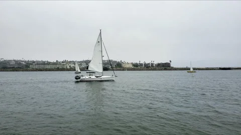 Marina Del Rey harbor Stock Footage 201502481
